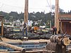 IMG_1359.JPG