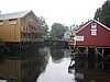 IMG_1375.JPG