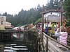 IMG_1379.JPG