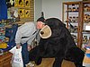 IMG_1384.JPG
