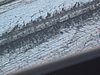 IMG_1424.JPG