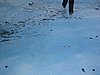 IMG_1454.JPG