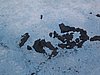 IMG_1455.JPG