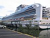 IMG_1462.JPG