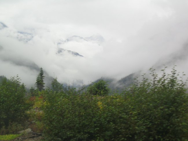 IMG_1478.JPG