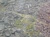 IMG_1477.JPG