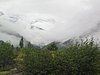 IMG_1478.JPG