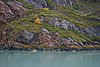 IMG_1134.JPG