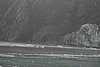 IMG_1159.JPG