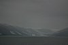 IMG_1195.JPG