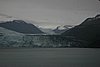 IMG_1206.JPG