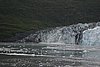 IMG_1223.JPG