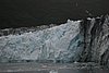 IMG_1228.JPG