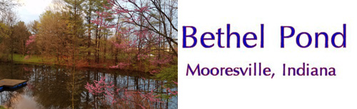 bethelpond