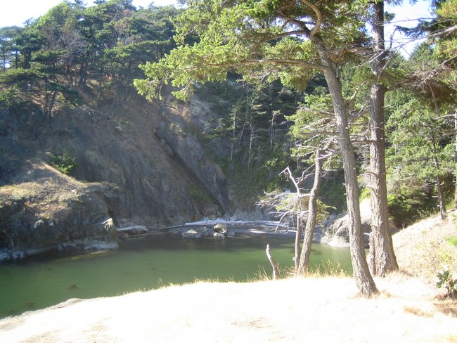 IMG_1345.JPG