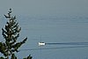 IMG_0947.JPG
