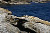 IMG_0958.JPG