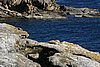 IMG_0959.JPG