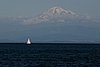IMG_0979.JPG
