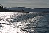 IMG_0982.JPG