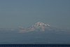 IMG_0983.JPG