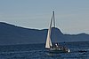 IMG_0988.JPG