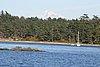 IMG_0989.JPG