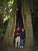 IMG_1341.JPG