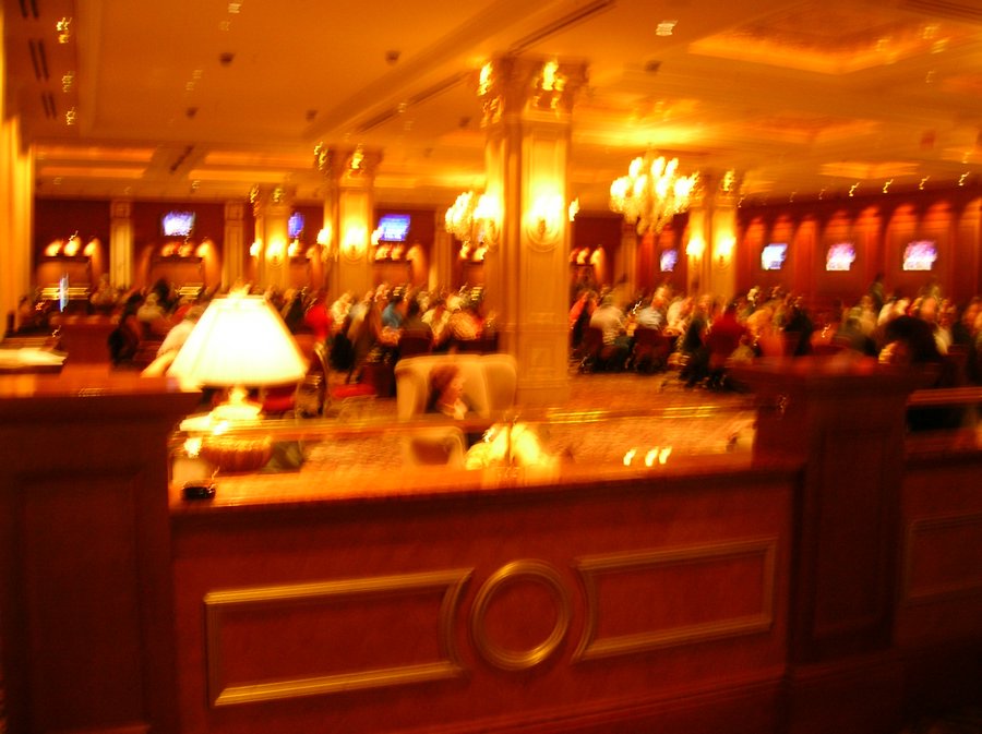 DSCN0681.JPG