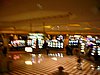 DSCN0682.JPG